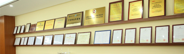 展盛先后榮獲國家3A級信用企業，深圳市高新技術企業，深圳市電源學會理事單位，深圳市新一代信息技術產業創新聯盟理事單位以及客戶口碑頒發“優秀供應商”企業等榮譽證書及稱號